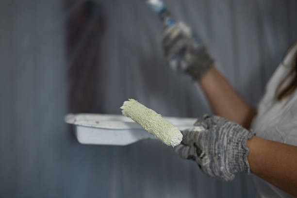 Interior Painting Near Me Made Simple with Sunshine Painting LLC